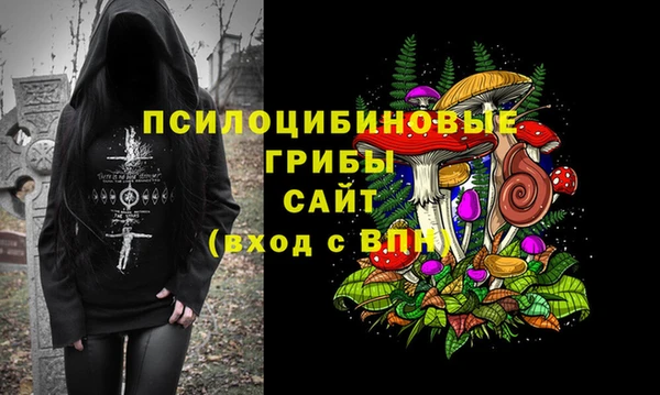 2c-b Кинешма