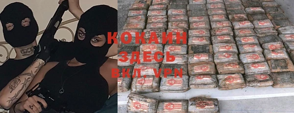 спайс Касимов