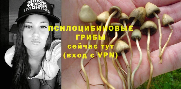 спайс Касимов